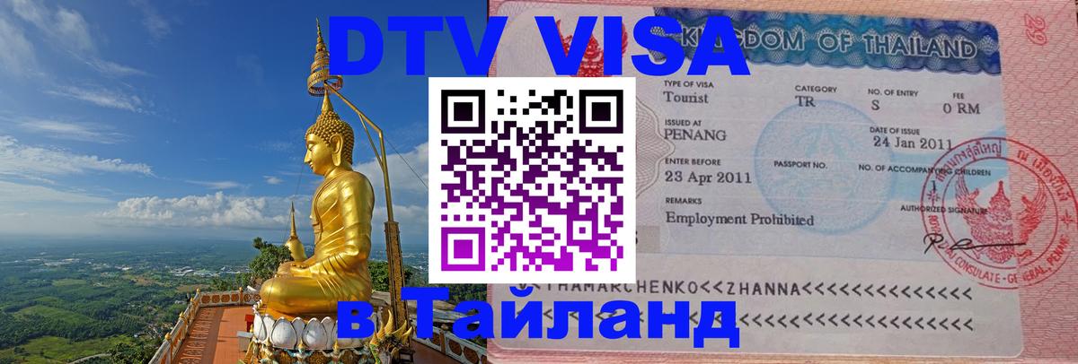 Оформление DTV визы под ключ: стоимость и тарифы, только загранпаспорт - 